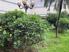 -东豪园林海鲜酒家(南港路辅路店)