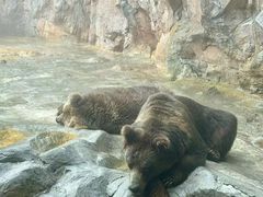 -珠海长隆海洋王国