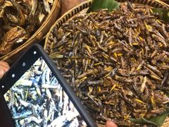 -银生食府·普洱菜(金星店)