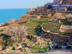 -崂山仰口游览区