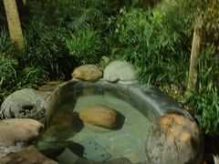 -青城道汤池