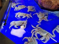 -蟹道乐(道顿堀本店)