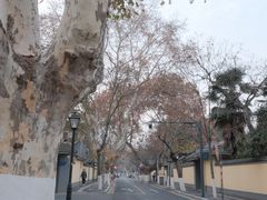 -颐和路民国时期公馆-风貌区