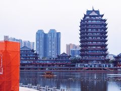 -眉山湿地公园(东坡区)