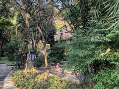 -融汇温泉