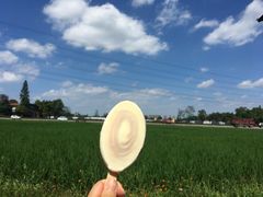 -桤木河湿地公园