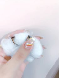 -1T·1M 日式美甲美睫