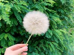 -顺信记(龙河家园店)