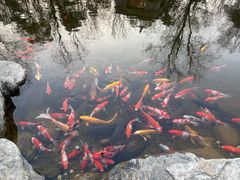 -青岛鑫江温德姆酒店