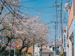 -灌篮高手动画打卡地