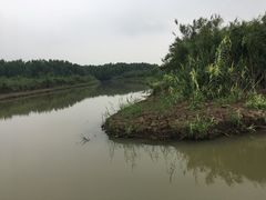 -大湾区中央湿地公园