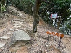 -狮子山郊野公园