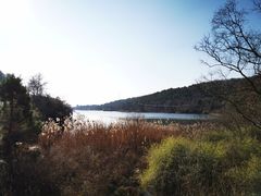 -南京市无想山景区