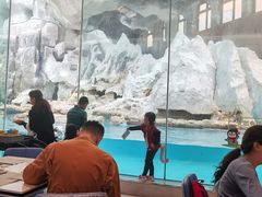 -帝企鹅自助餐厅•儿童岛•真企鹅(长隆企鹅酒店)