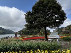 -广州市石门国家森林公园