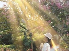 -杭州城北体育公园