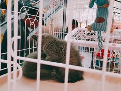 -凯德广场(学府店)