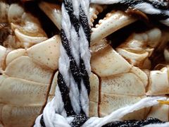 -蟹都汇(龙舟店)