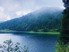 -武陵山森林公园