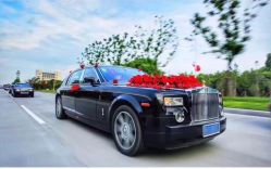 -宁波甬诚婚车(新典路店)