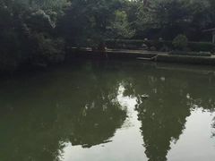 -绮园景区