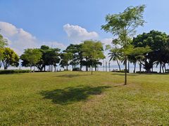 -深圳湾公园(南山区)