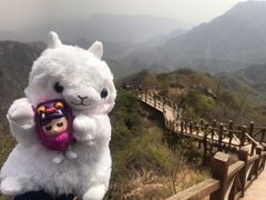 -大岭沟猕猴桃谷风景区