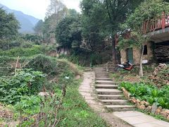 -缙云山景区