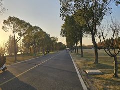 -漕湖湿地公园