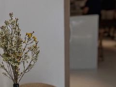 -Seeking Coffee咖啡(新竹路店)