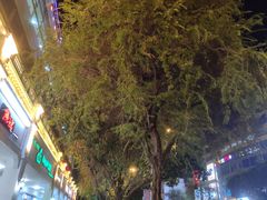 -大苹果面包生日蛋糕(明珠店)