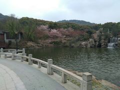 -白马涧龙池景区