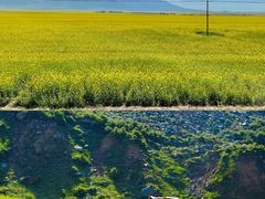 -扁都口生态休闲旅游区