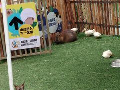 -昆明动物园