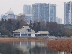 -月湖风景区