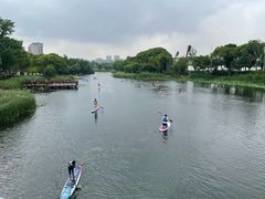 -新江湾城公园