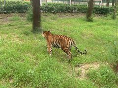 -秦皇岛野生动物园