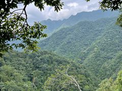 -千岛湖石林