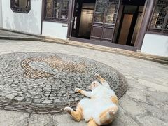 -上海醉白池公园