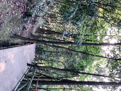 -四会奇石河风景区