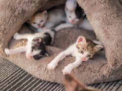 -五月木作·DIY木作文创体验店(北京路店)