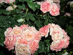 -人民公园(罗湖区)