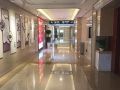 -郑州新郑国际机场T2航站楼-贵宾厅B区