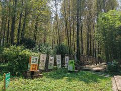 -林间山庄