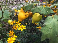 -优游吧斯邹族文化部落