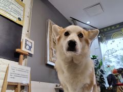 -平行世界·猫咖(首经贸店)