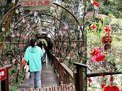 -石燕湖生态旅游景区
