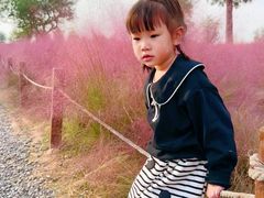 -汉长安城未央宫国家考古遗址公园