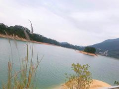 -广州市流溪河国家森林公园