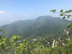 -木兰云雾山